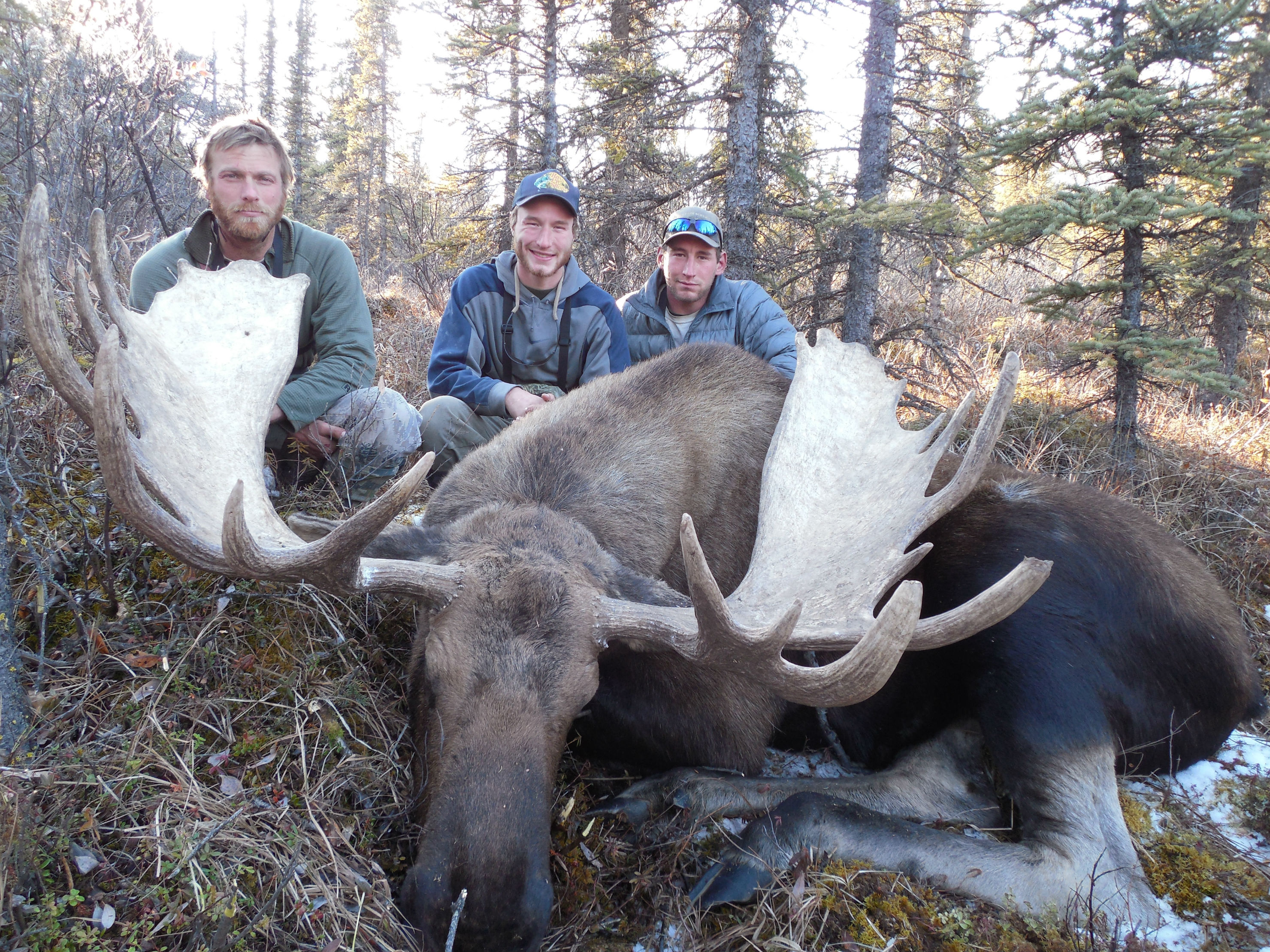 2014 Alaska Range Moose Rampage Alaska